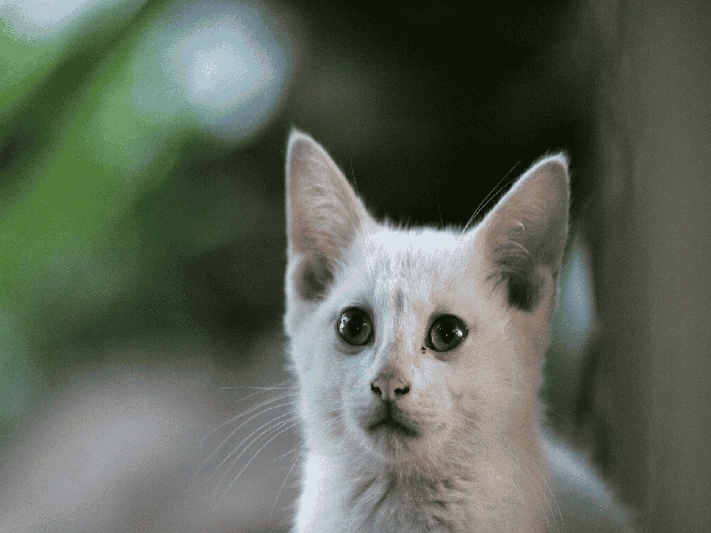 试管nics和pgs（华西试管甲功）